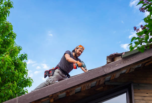 Best Steel Roofing  in St Clairsville, OH